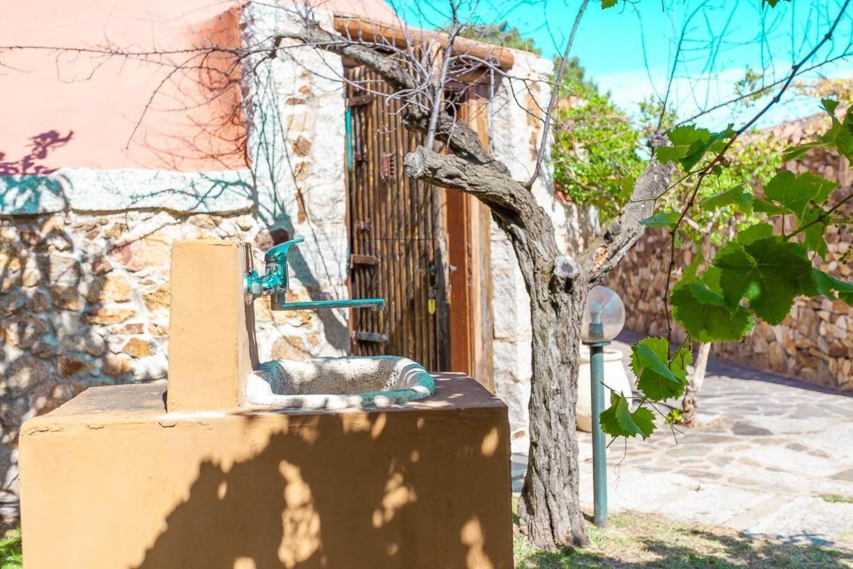 B&B Pettirosso Garden Сан Теодоро Екстериор снимка