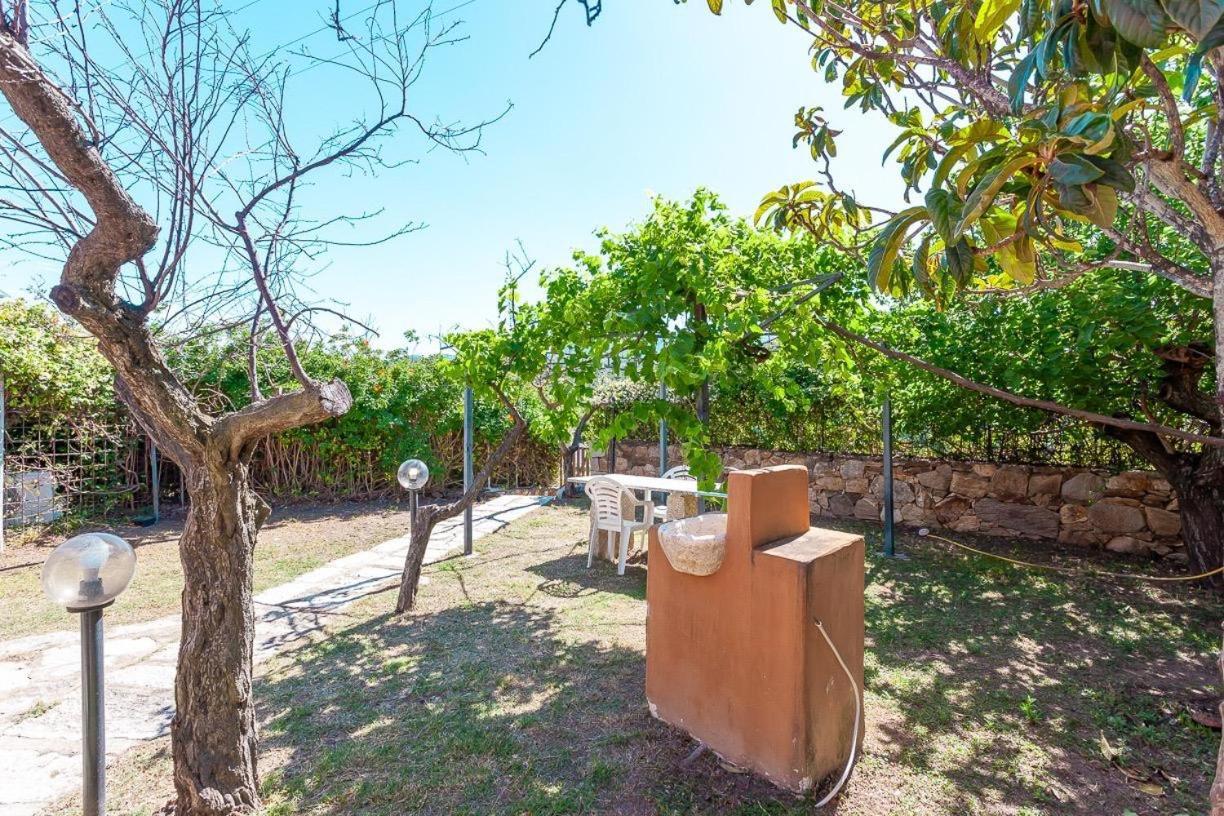 B&B Pettirosso Garden Сан Теодоро Екстериор снимка