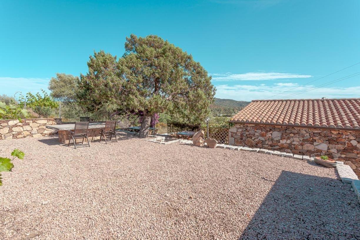 B&B Pettirosso Garden Сан Теодоро Екстериор снимка